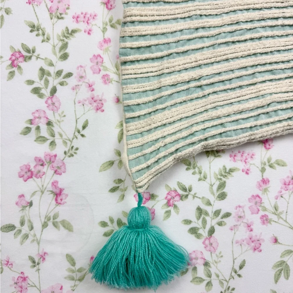 Pier 1 Mint & Ivory Woven Striped Decorative Throw Pillow Case with Tassels